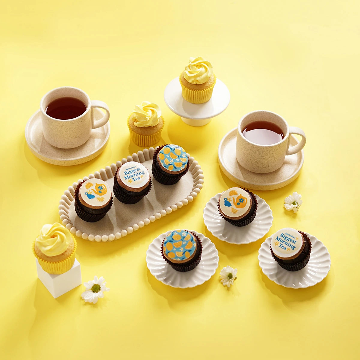 15 Australia's Biggest Morning Tea Mini Cupcake Gift Box