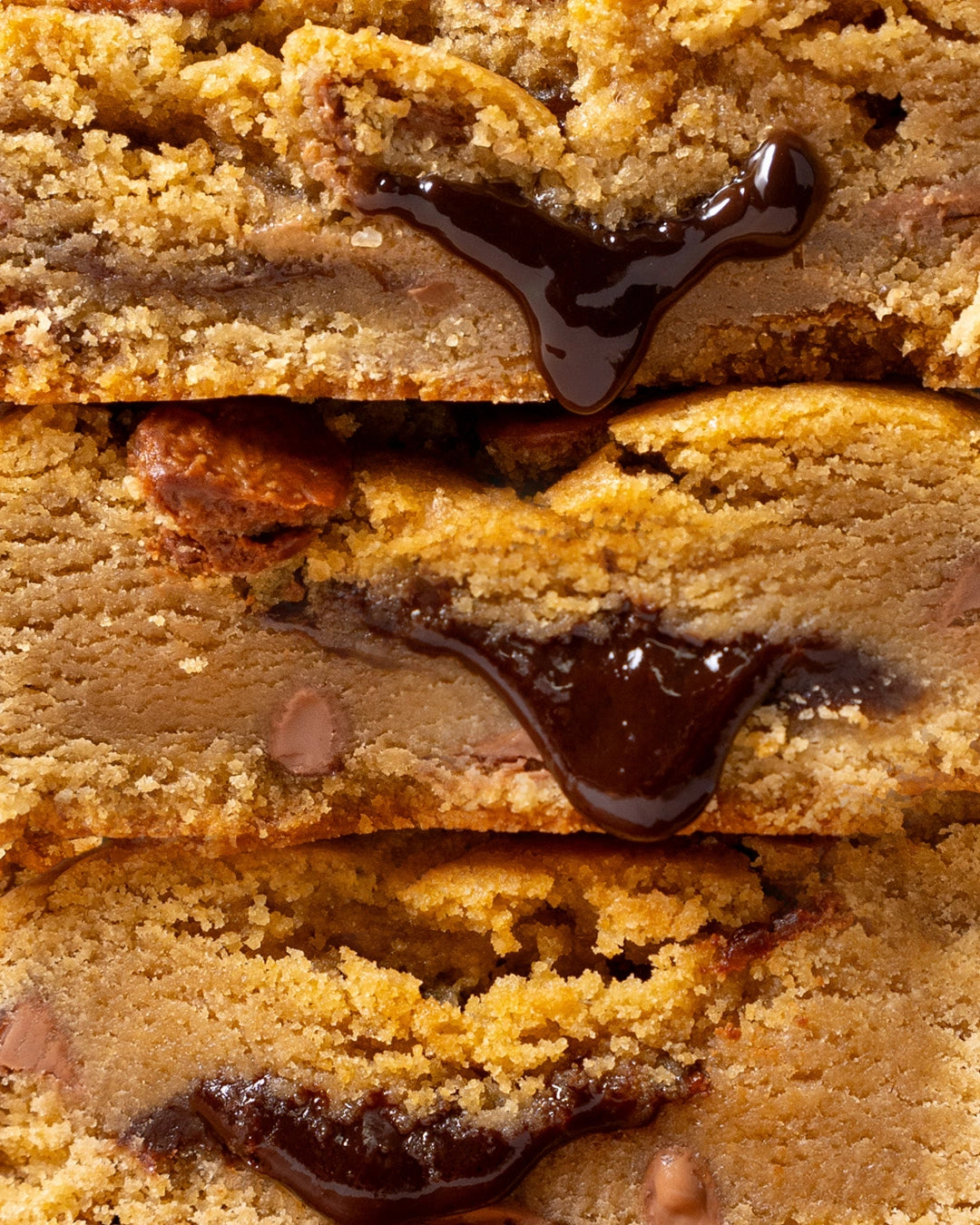 Chocolate Chip Cookie