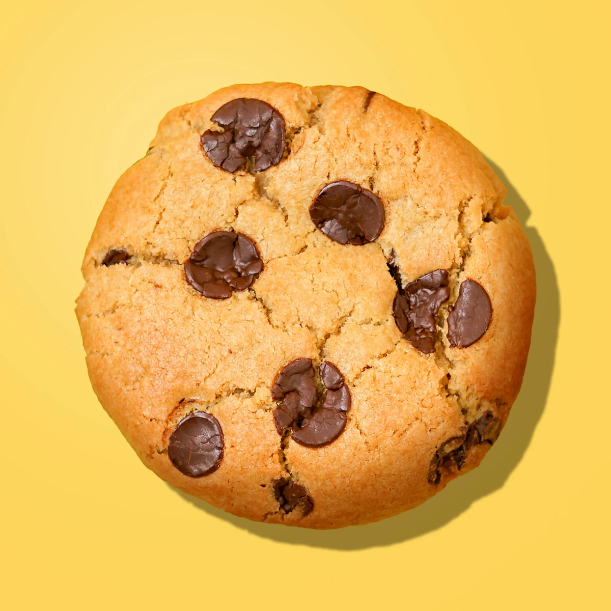 6 Chocolate Chip Cookie Gift Box -  Cupcake Central