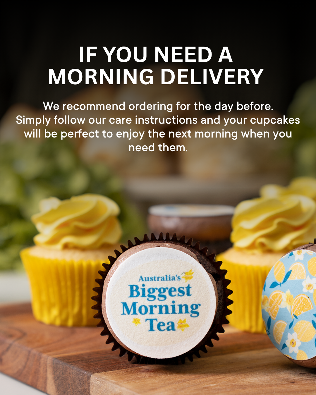 12 Australia's Biggest Morning Tea Cupcake Gift Box