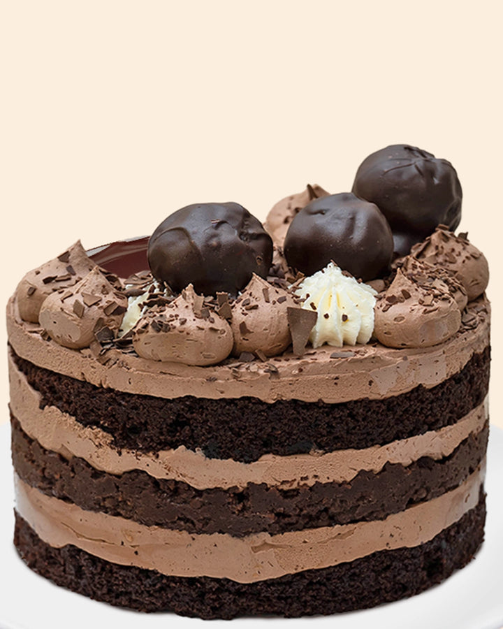 Chocolate Naked Cake