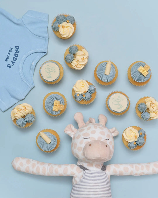 12 It's a BOY! Baby Shower Cupcake Gift box