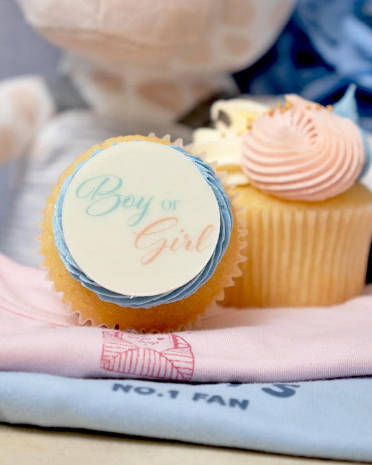 12 Secret Gender Reveal Cupcake Gift box