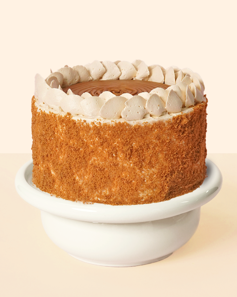 Biscoff Chocolate Cake