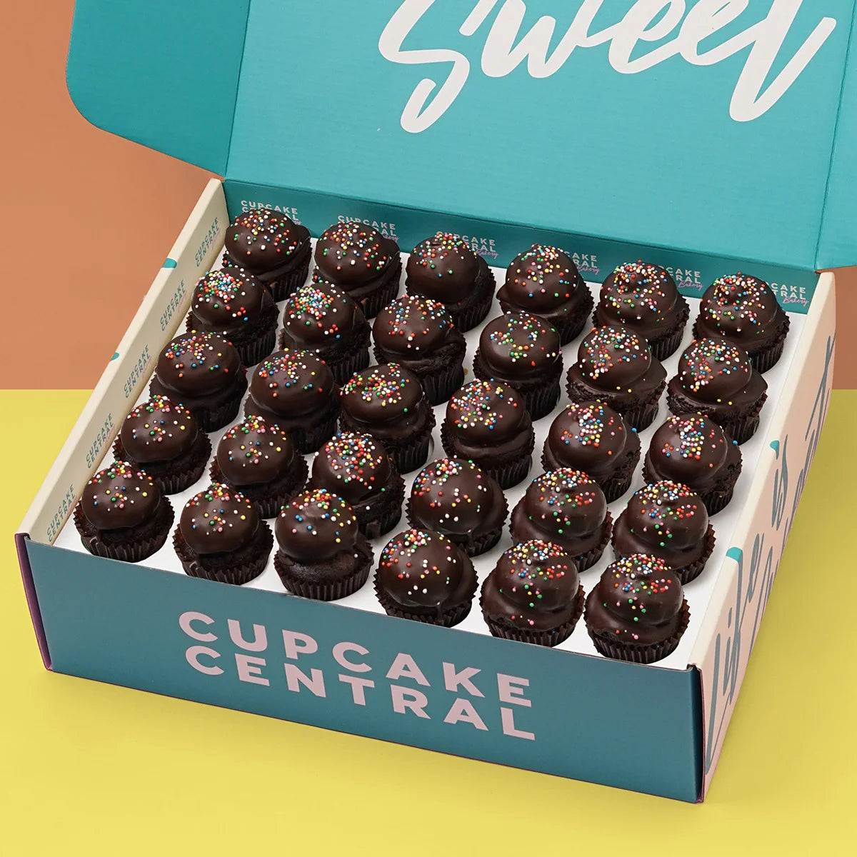 30 Vegan Chocolate (V+GF+LFM) Mini Cupcake Gift Box -  Cupcake Central