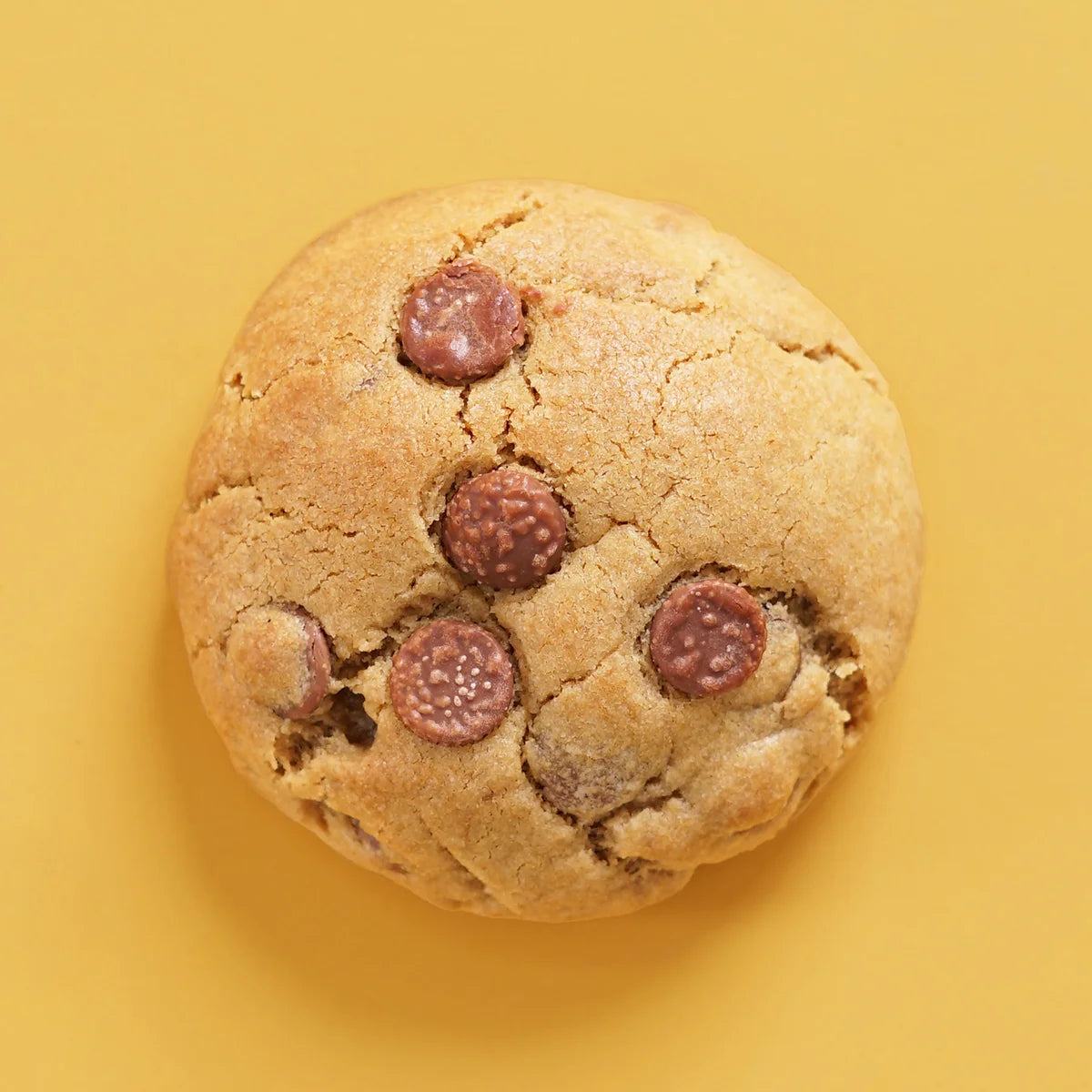 Chocolate Chip Cookie -  Cupcake Central
