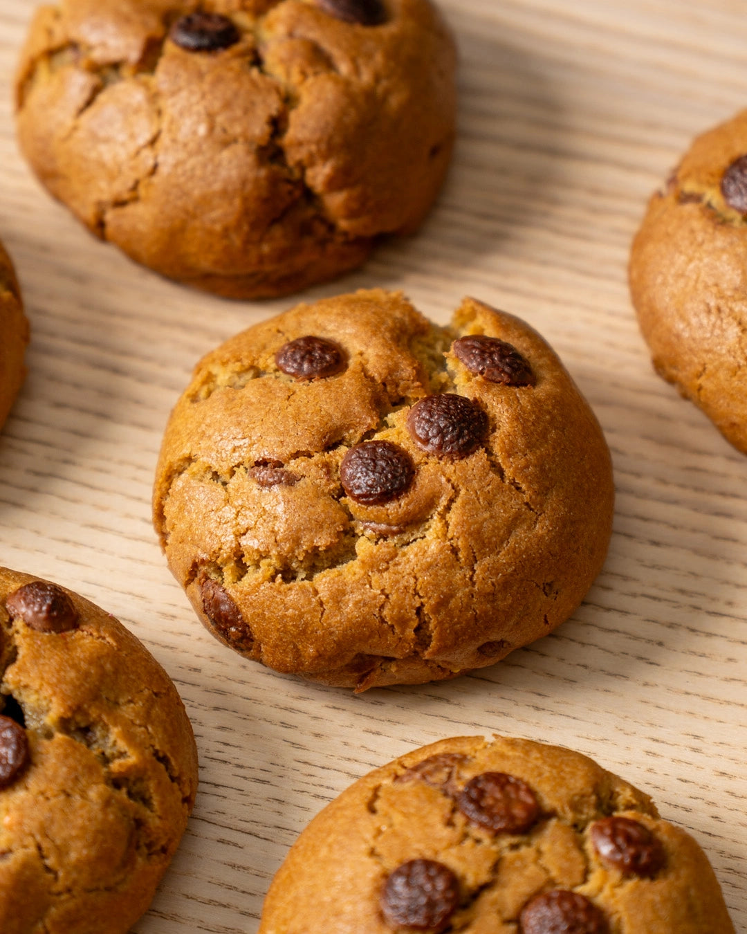 Chocolate Chip Cookie