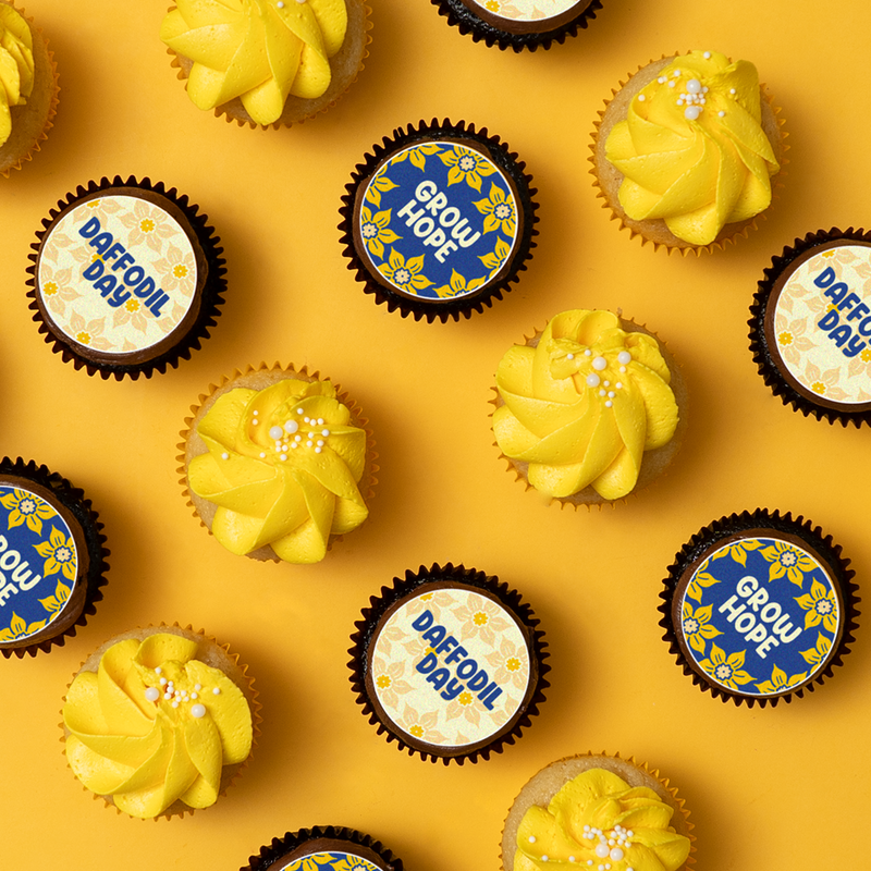 12 Daffodil Day Cupcake Gift Box