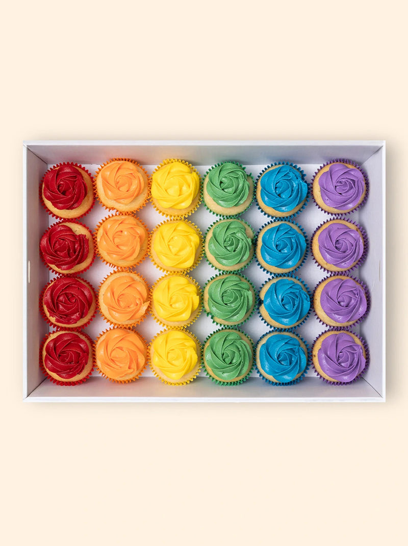 24 Rainbow Cupcake Catering Box