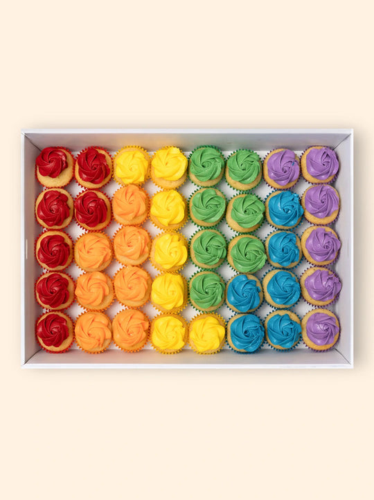 40 Rainbow Mini Cupcake Catering Box