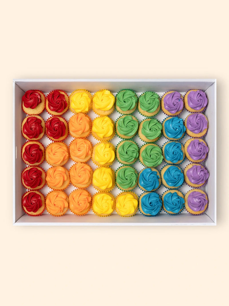 40 Rainbow Mini Cupcake Catering Box