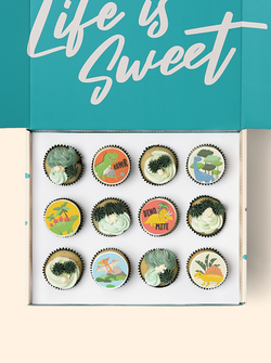 12 Dinosaur Cupcake Gift Box