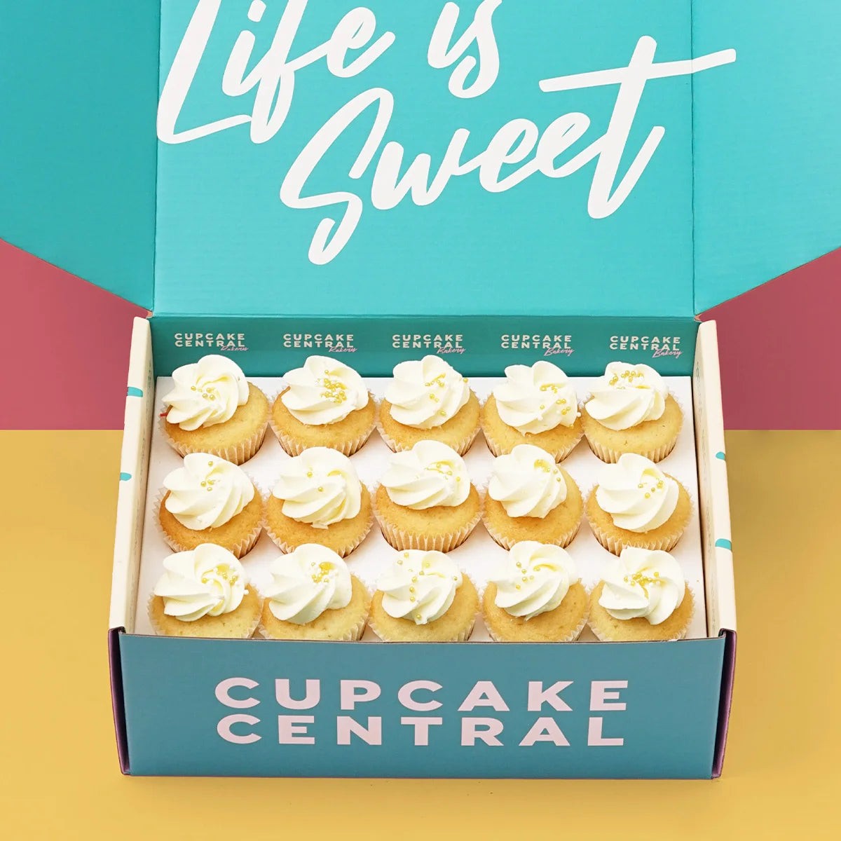 15 Vanilla Vanilla Mini Cupcake Gift Box -  Cupcake Central