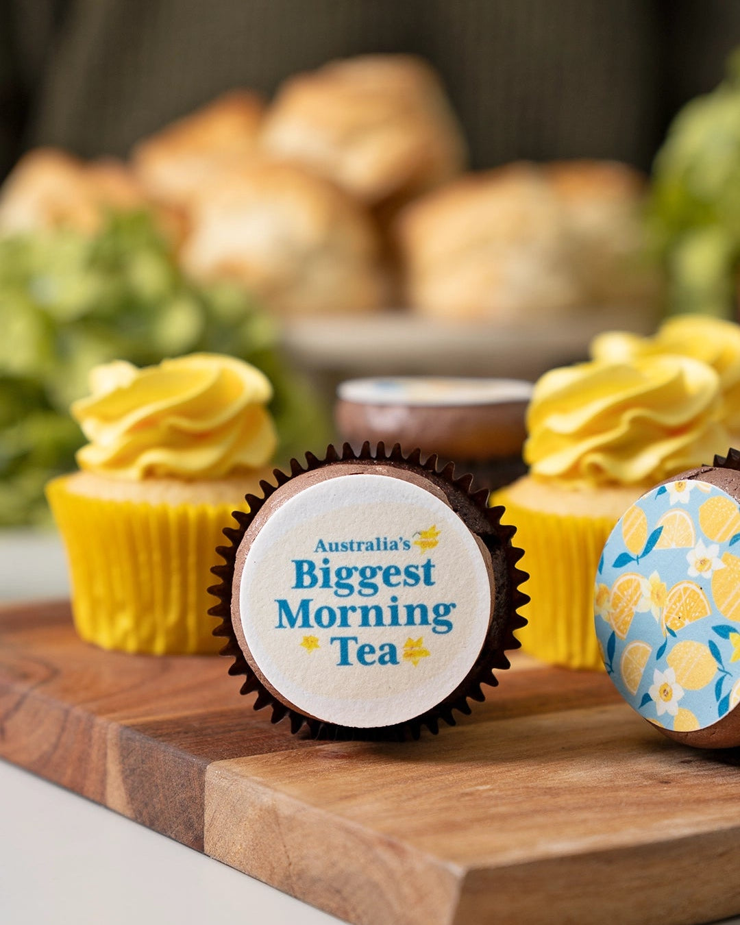 Australia's biggest morning tea themed cupcakes. Vanilla with yellow frosting, chocolate with Biggest morning tea logo.