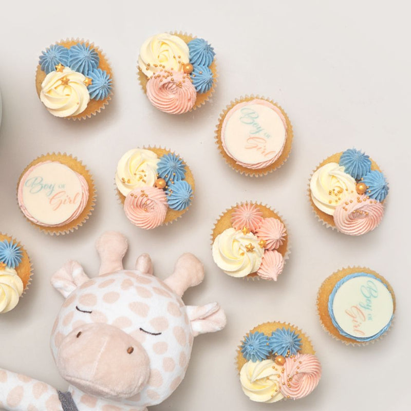 12 Baby Shower Cupcake Gift Box