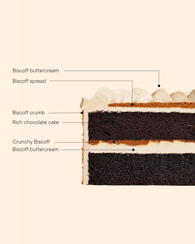 Biscoff Chocolate Cake